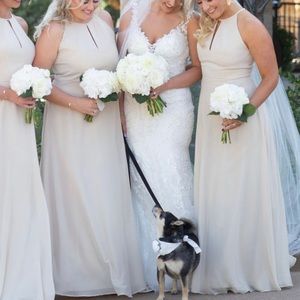 Bella Bridesmaids Champagne Dress